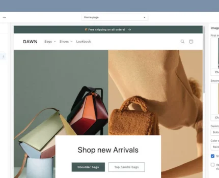 shopify-online-store